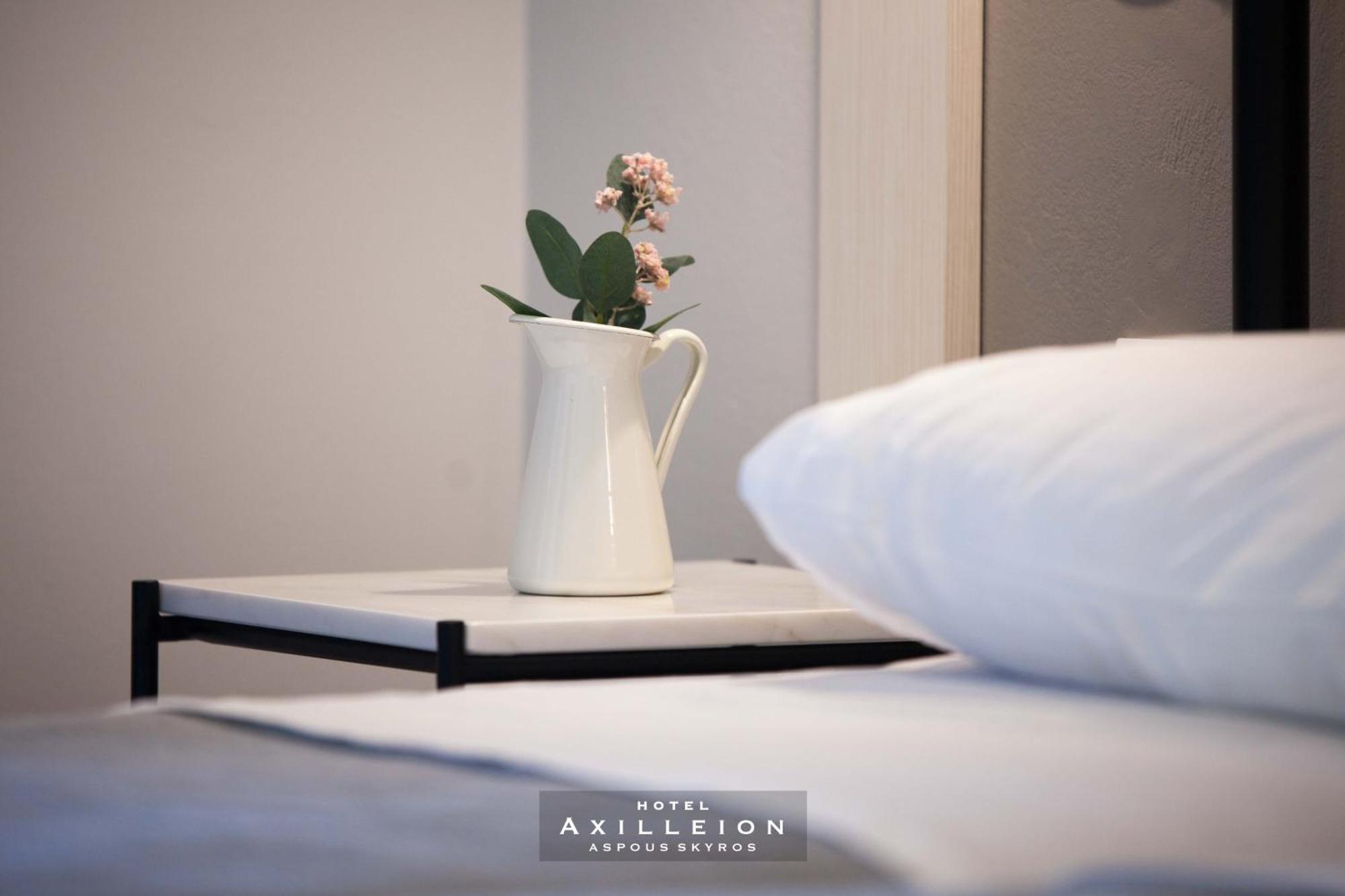 Achilleion Hotel Σκύρος Εξωτερικό φωτογραφία