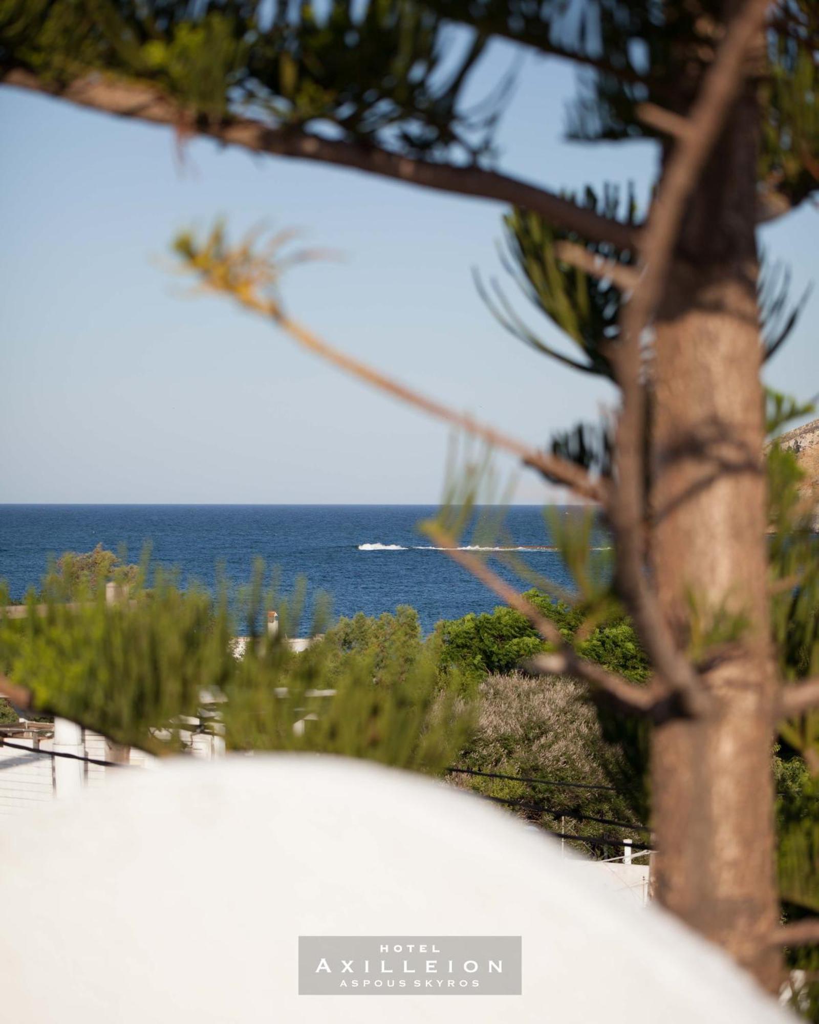 Achilleion Hotel Σκύρος Εξωτερικό φωτογραφία