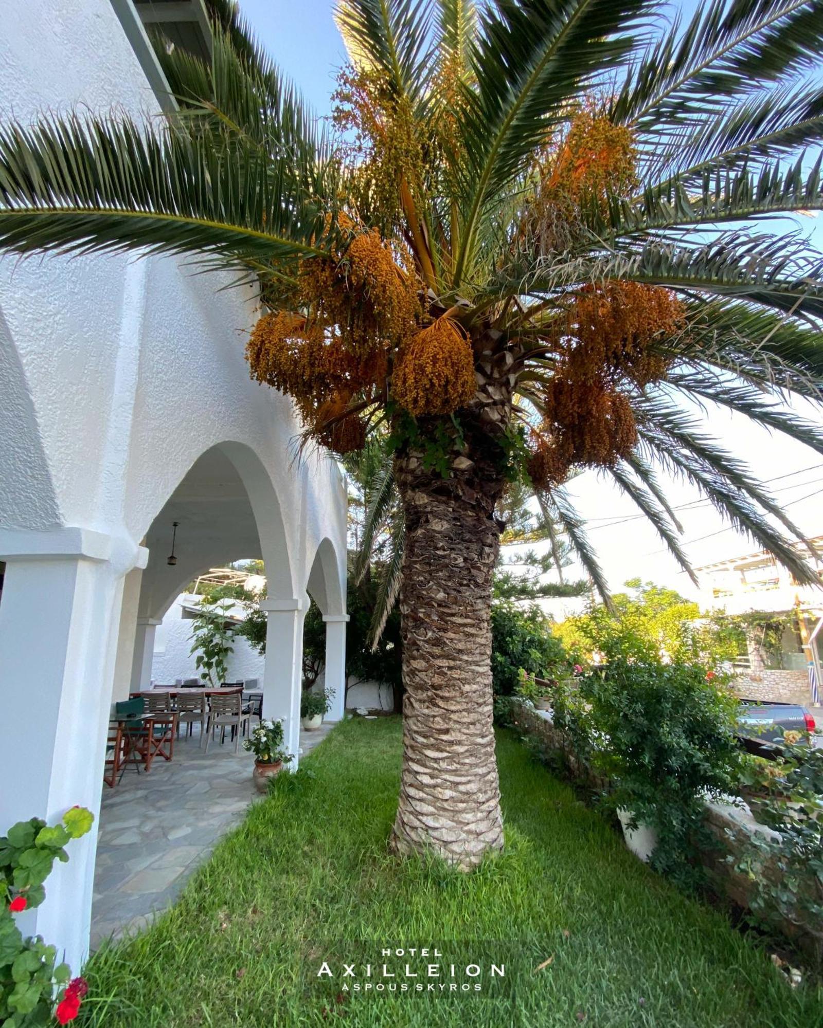 Achilleion Hotel Σκύρος Εξωτερικό φωτογραφία