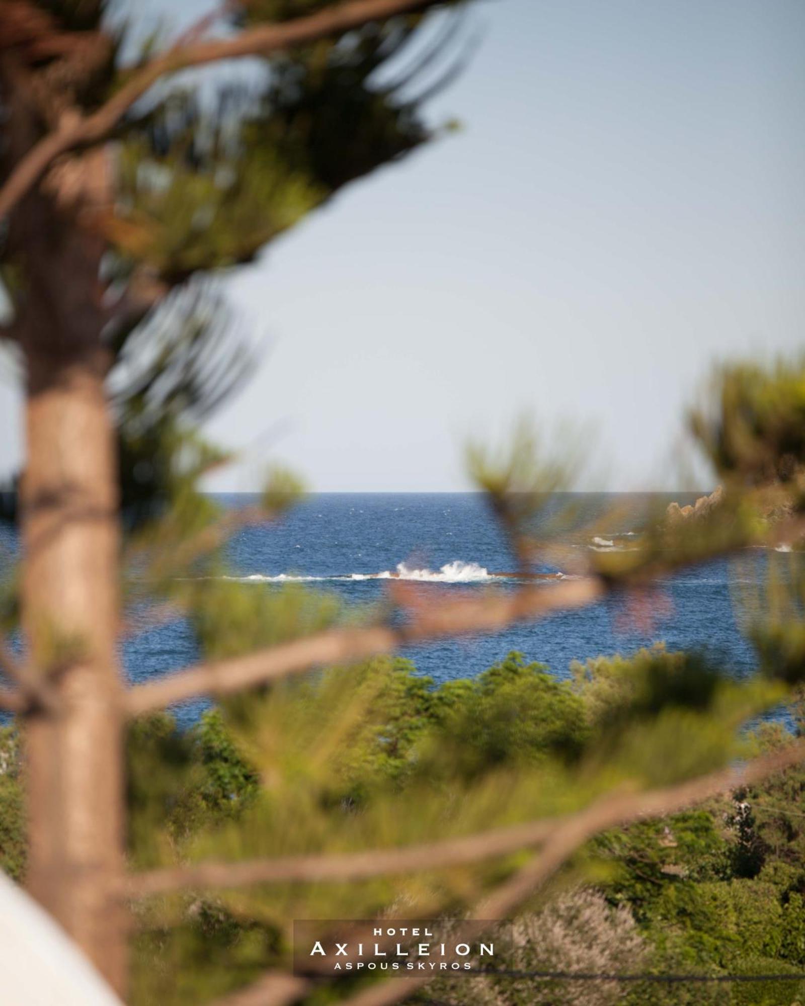 Achilleion Hotel Σκύρος Εξωτερικό φωτογραφία