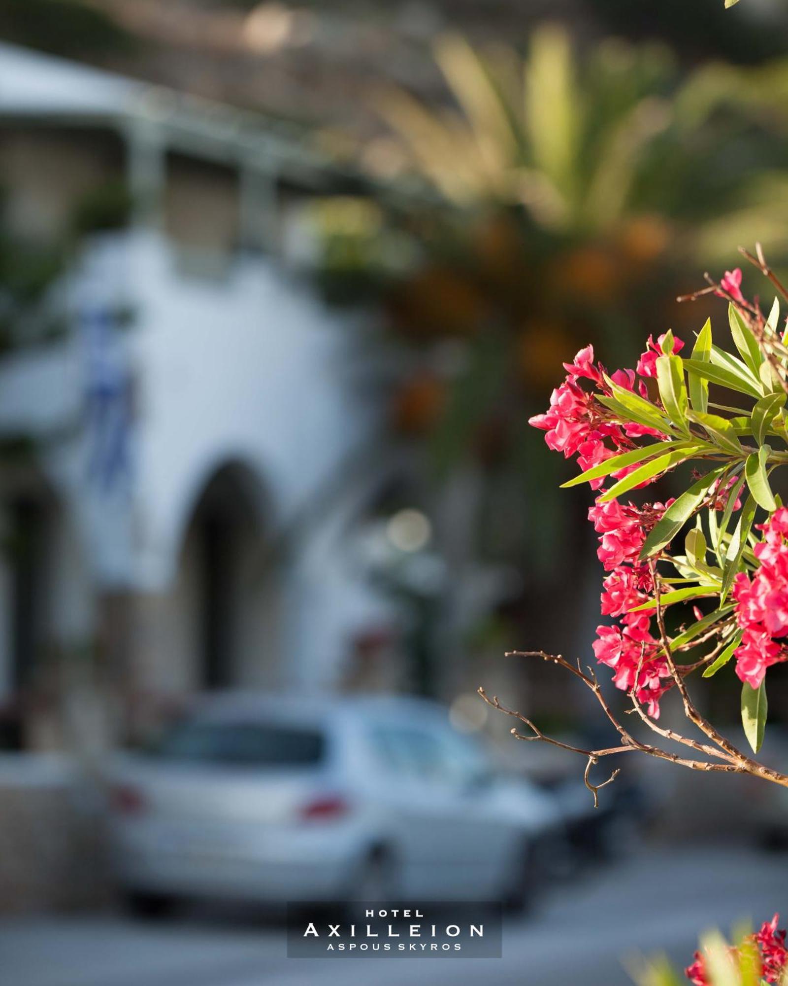 Achilleion Hotel Σκύρος Εξωτερικό φωτογραφία
