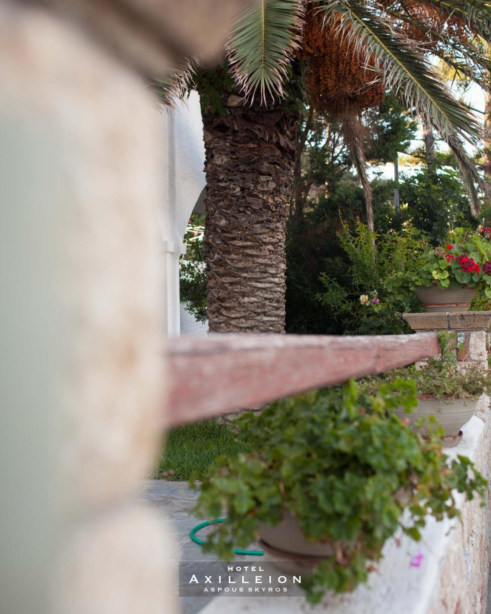 Achilleion Hotel Σκύρος Εξωτερικό φωτογραφία